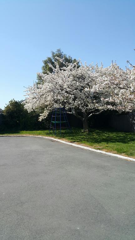 Lilybrook Motel Rangiora Εξωτερικό φωτογραφία